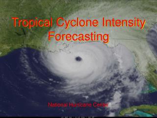 Tropical Cyclone Intensity Forecasting