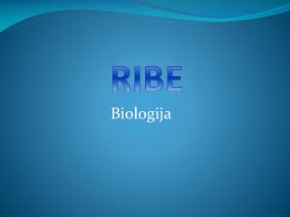 RIBE