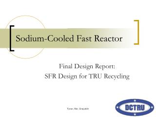 Sodium-Cooled Fast Reactor