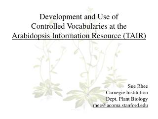 Development and Use of Controlled Vocabularies at the Arabidopsis Information Resource (TAIR)