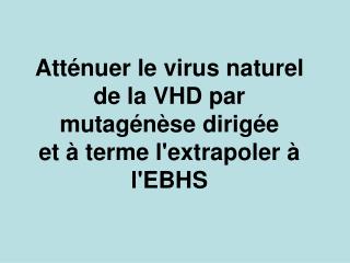 Atténuer le virus naturel de la VHD par mutagénèse dirigée et à terme l'extrapoler à l'EBHS