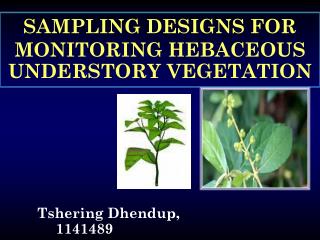 SAMPLING DESIGNS FOR MONITORING HEBACEOUS UNDERSTORY VEGETATION