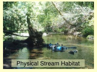 Physical Stream Habitat