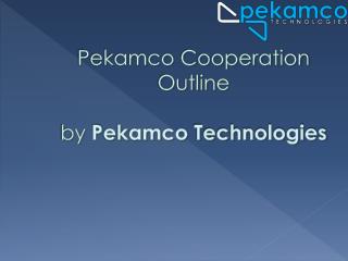 Pekamco Cooperation Outline by P ekamco Technologies