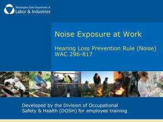 Noise Exposure at Work