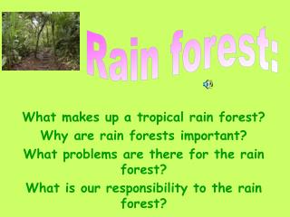 What makes up a tropical rain forest? Why are rain forests important?