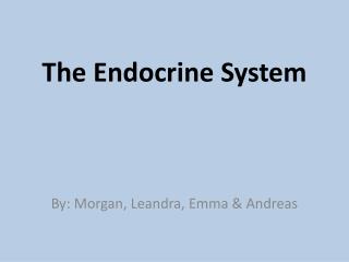 The Endocrine System