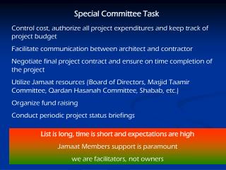 Special Committee Task