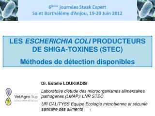 LES ESCHERICHIA COLI PRODUCTEURS DE SHIGA-TOXINES (STEC) Méthodes de détection disponibles