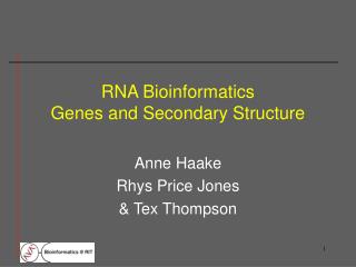 RNA Bioinformatics Genes and Secondary Structure