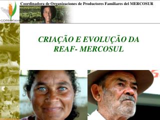 CRIAÇÃO E EVOLUÇÃO DA REAF- MERCOSUL