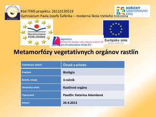 Metamorfózy vegetatívnych orgánov rastlín