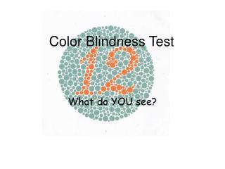 Color Blindness Test