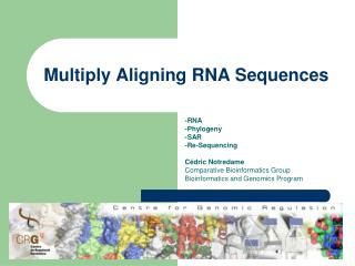 Multiply Aligning RNA Sequences