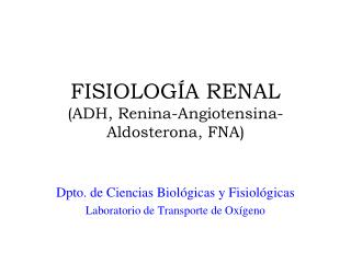 FISIOLOGÍA RENAL (ADH, Renina-Angiotensina-Aldosterona, FNA)