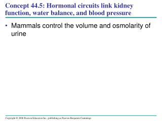 Concept 44.5: Hormonal circuits link kidney function, water balance, and blood pressure