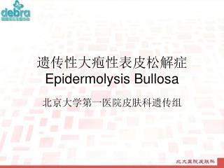 遗传性大疱性表皮松解症 Epidermolysis Bullosa