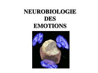 NEUROBIOLOGIE DES EMOTIONS