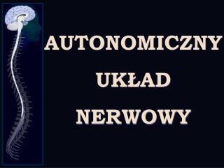 AUTONOMICZNY UKŁAD NERWOWY