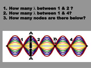 How many l between 1 &amp; 2 ? How many l between 1 &amp; 4? How many nodes are there below?