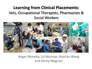 Learning from Clinical Placements: Vets, Occupational Therapists, Pharmacists &amp; Social Workers