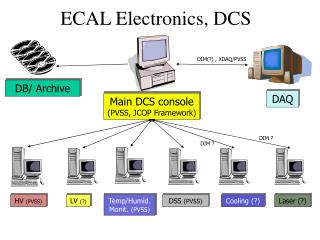 ECAL Electronics, DCS