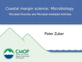 Coastal margin science: Microbiology Microbial Diversity and Microbial-mediated Activities
