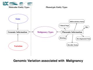 Malignancy Types