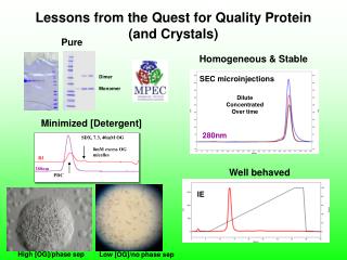 Lessons from the Quest for Quality Protein (and Crystals)