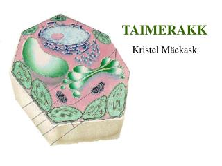 TAIMERAKK Kristel Mäekask