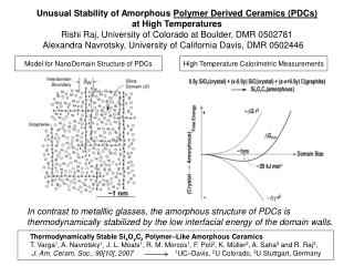 Model for NanoDomain Structure of PDCs