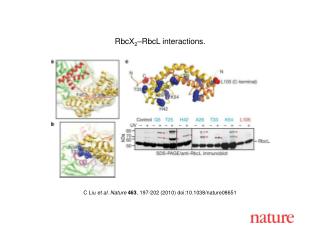 C Liu et al. Nature 463 , 197-202 (2010) doi:10.1038/nature08 651