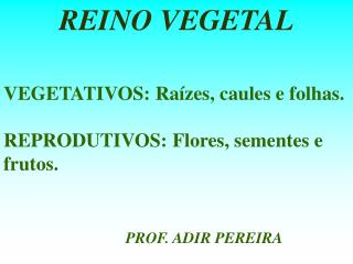 VEGETATIVOS: Raízes, caules e folhas. REPRODUTIVOS: Flores, sementes e frutos.