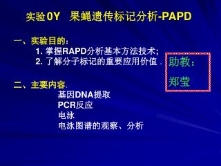 实验 0Y 果蝇遗传标记分析 -PAPD