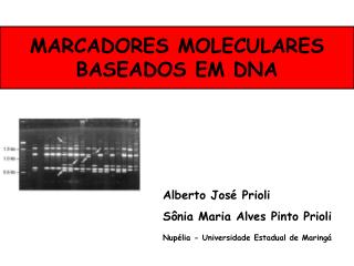 MARCADORES MOLECULARES BASEADOS EM DNA