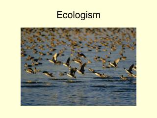 Ecologism