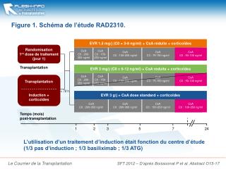 Figure 1. Schéma de l’étude RAD2310.