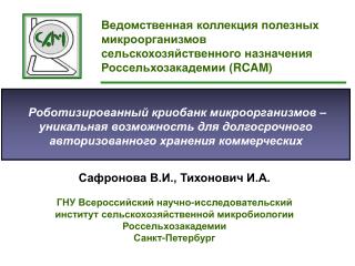 Сафронова В.И., Тихонович И.А. ГНУ Всероссийский научно-исследовательский