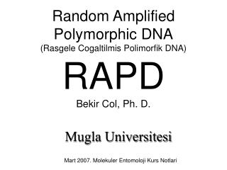 Random Amplified Polymorphic DNA (Rasgele Cogaltilmis Polimorfik DNA) RAPD