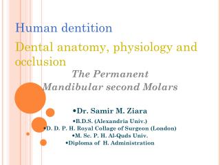 Human dentition Dental anatomy, physiology and occlusion