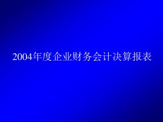 2004 年度企业财务会计决算报表