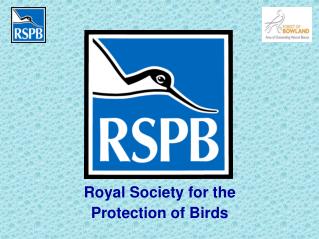 Royal Society for the Protection of Birds