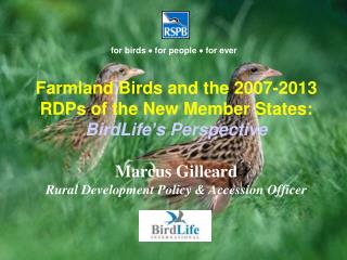 for birds  for people  for ever