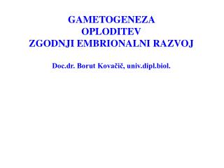 GAMETOGENEZA OPLODITEV ZGODNJI EMBRIONALNI RAZVOJ Doc.dr. Borut Kovačič, univ.dipl.biol.