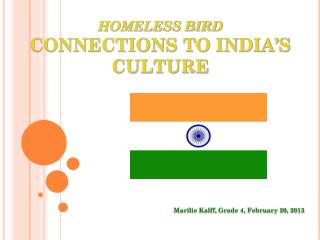 HOMELESS BIRD CONNECTIONS TO INDIA’S CULTURE