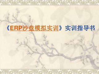 《 ERP 沙盘模拟实训 》 实训指导书