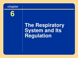 The Respiratory System and Its Regulation