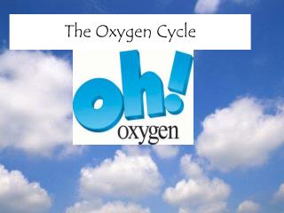 The Oxygen Cycle