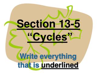 Section 13-5 “Cycles ”