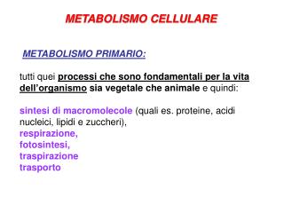 METABOLISMO CELLULARE METABOLISMO PRIMARIO: